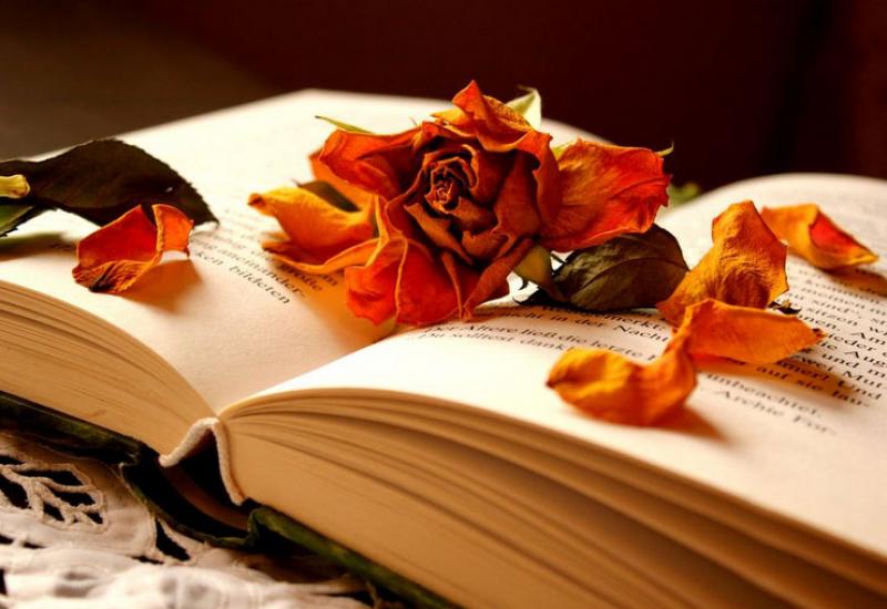 Святкуємо День книги та авторського права Святкуємо День книги та авторського права