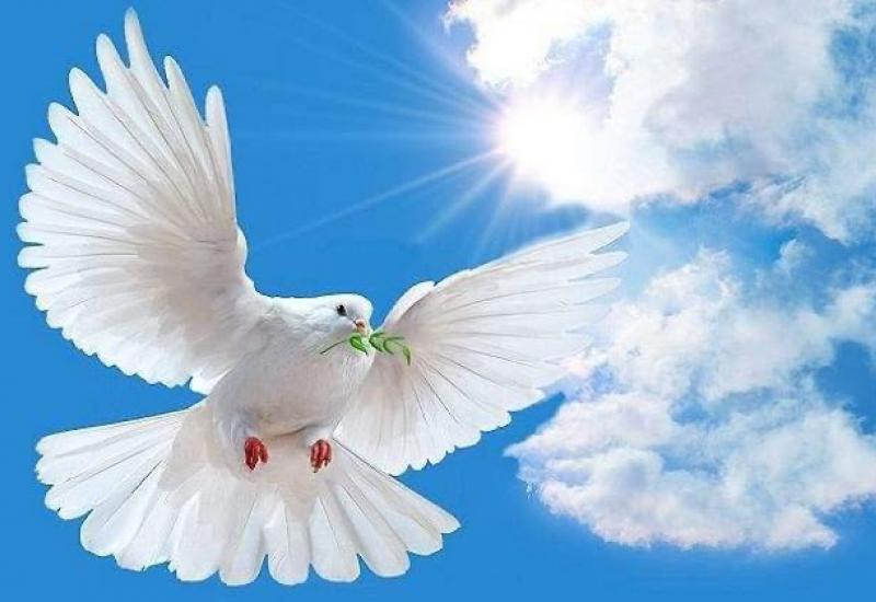 Шановні київські політехніки, прийміть найщиріші вітання з Міжнародним днем миру!