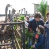 2008.05.10 Візит до страусячої ферми дітей-сиріт, організований студентами КПІ