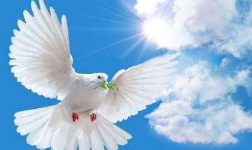 Day of Peace!