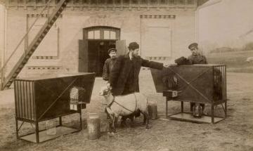 1902. Скотний двір КПІ
