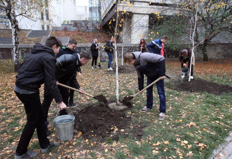 2019.10.28 Висадження берез за 7-м корпусом 2019.10.28 Висадження берез за 7-м корпусом