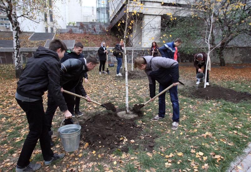 2019.10.28 Greening of Igor Sikorsky Kyiv Politechnic Institute is going on!