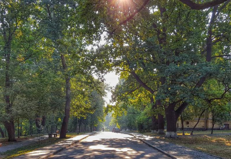Соціально-екологічна акція з прибирання зелених зон та благоустрою територій Соціально-екологічна акція з прибирання зелених зон та благоустрою територій