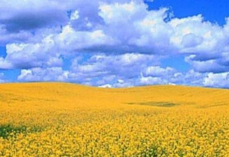 Витоки української писемності Витоки української писемності