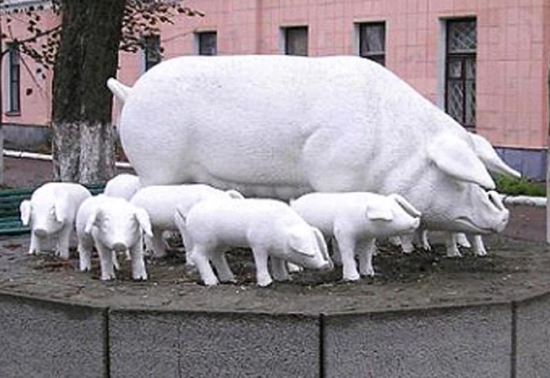 Ukraine, Poltava, A monument to pigs and piggys near the main building of the Poltava Scientific Research Institute of Pigs named after A.V.Kvasnitsky