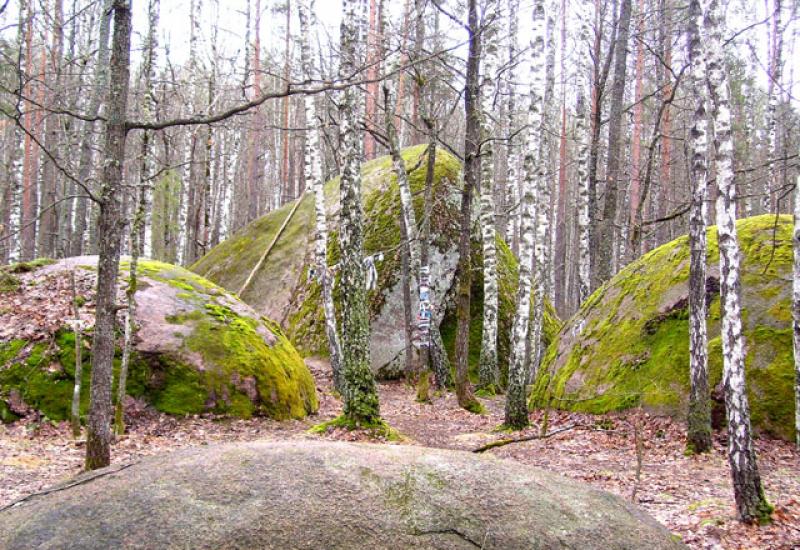 Україна. Полісся. Камінне село Україна. Полісся. Камінне село