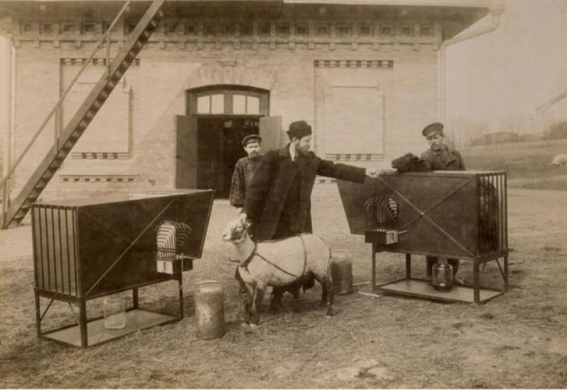 1902. Скотний двір КПІ