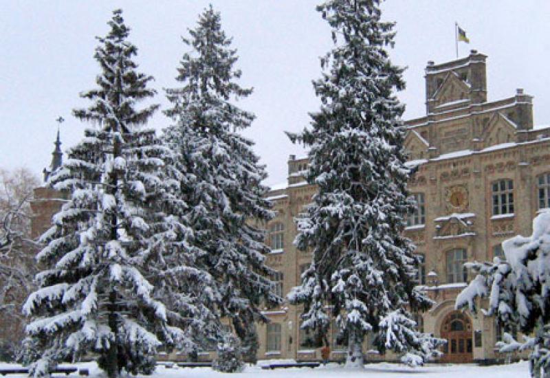 Кампус КПІ. Ялинки перед 1 корпусом Кампус КПІ. Ялинки перед 1 корпусом