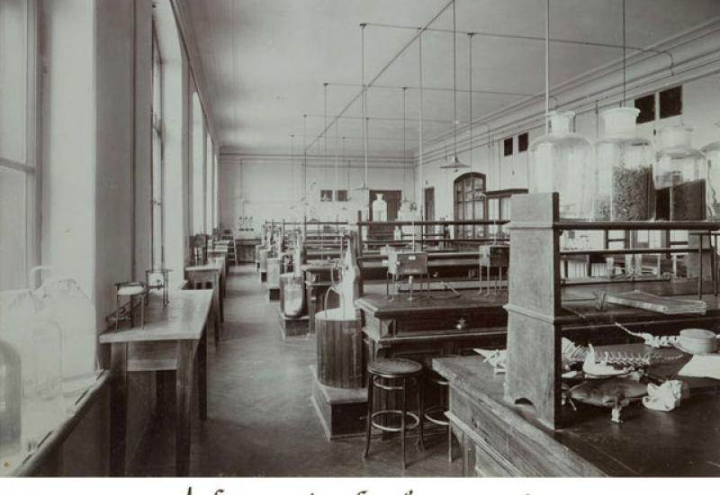 1902. Кабінет загальної зоотехніки
