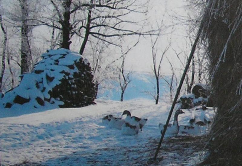 2009. Таланти КПІ. Гусині посиденьки. Добряк Євгенія. ВПІ, СГ-61 2009. Таланти КПІ. Гусині посиденьки. Добряк Євгенія. ВПІ, СГ-61