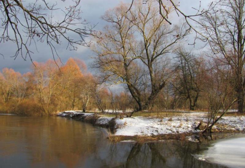 Таланти КПІ 2012. Ліхоузова Тетяна Анатоліївна. Тетерев, весна Таланти КПІ 2012. Ліхоузова Тетяна Анатоліївна. Тетерев, весна
