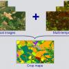 НТУУ «КПІ» виграв дослідницький грант Google Earth Engine